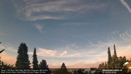 Unterengstringen › West