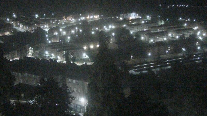Tineo