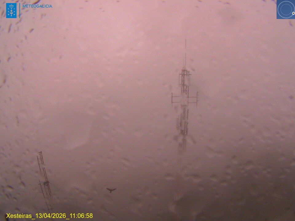 Traffic Cam A Estrada