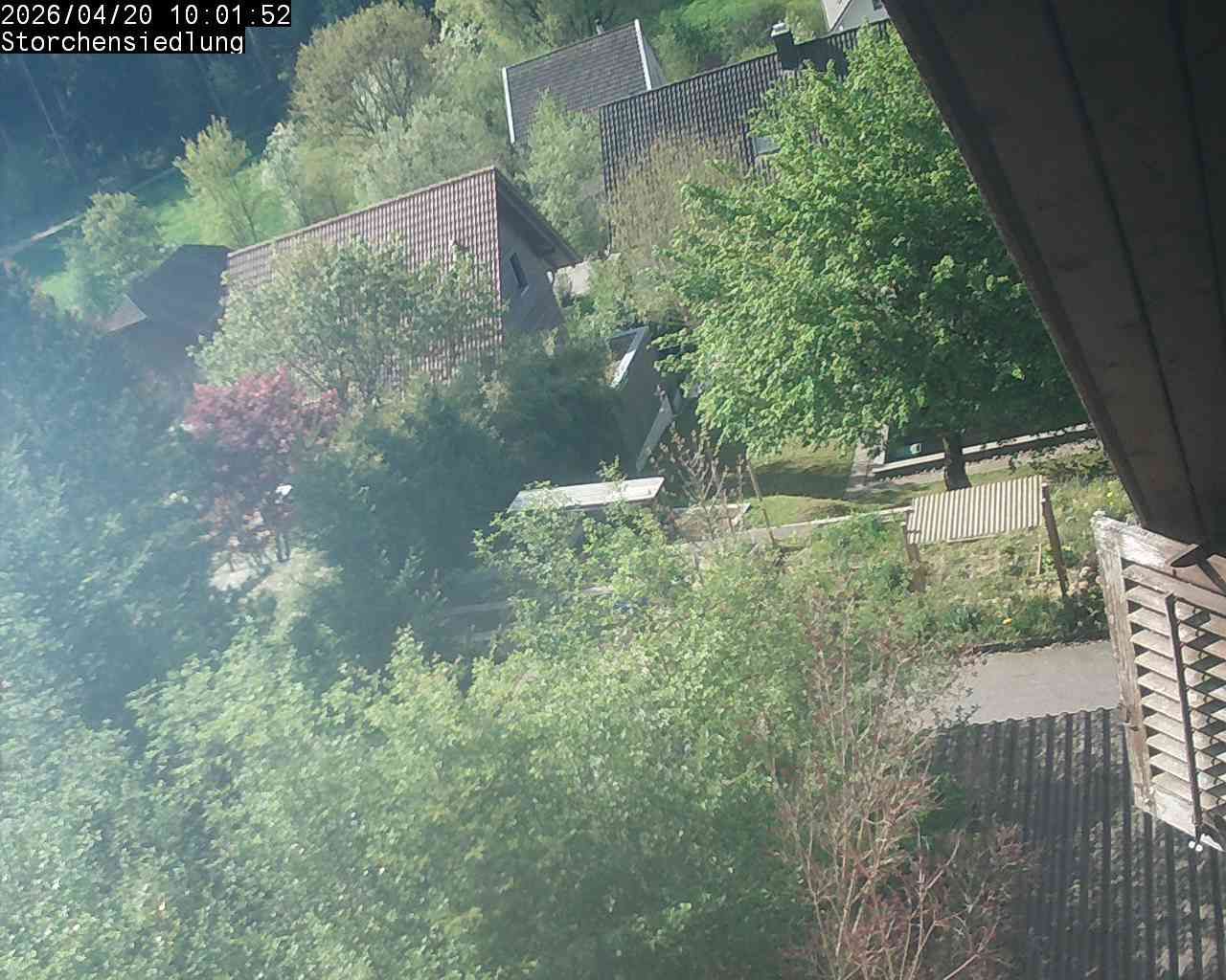 Brittnau: Storchensiedlung