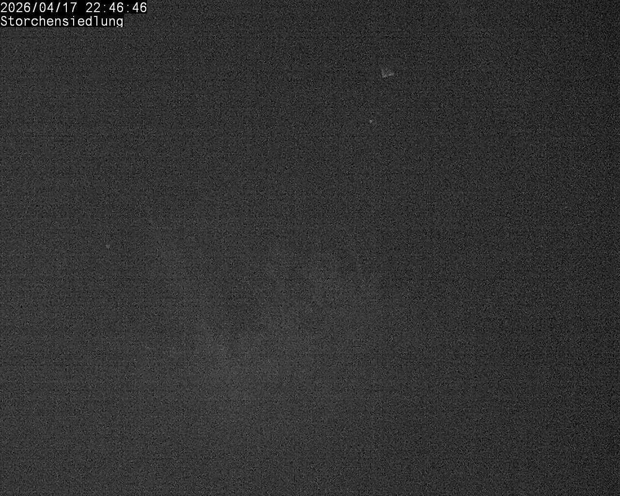 Brittnau: Storchensiedlung