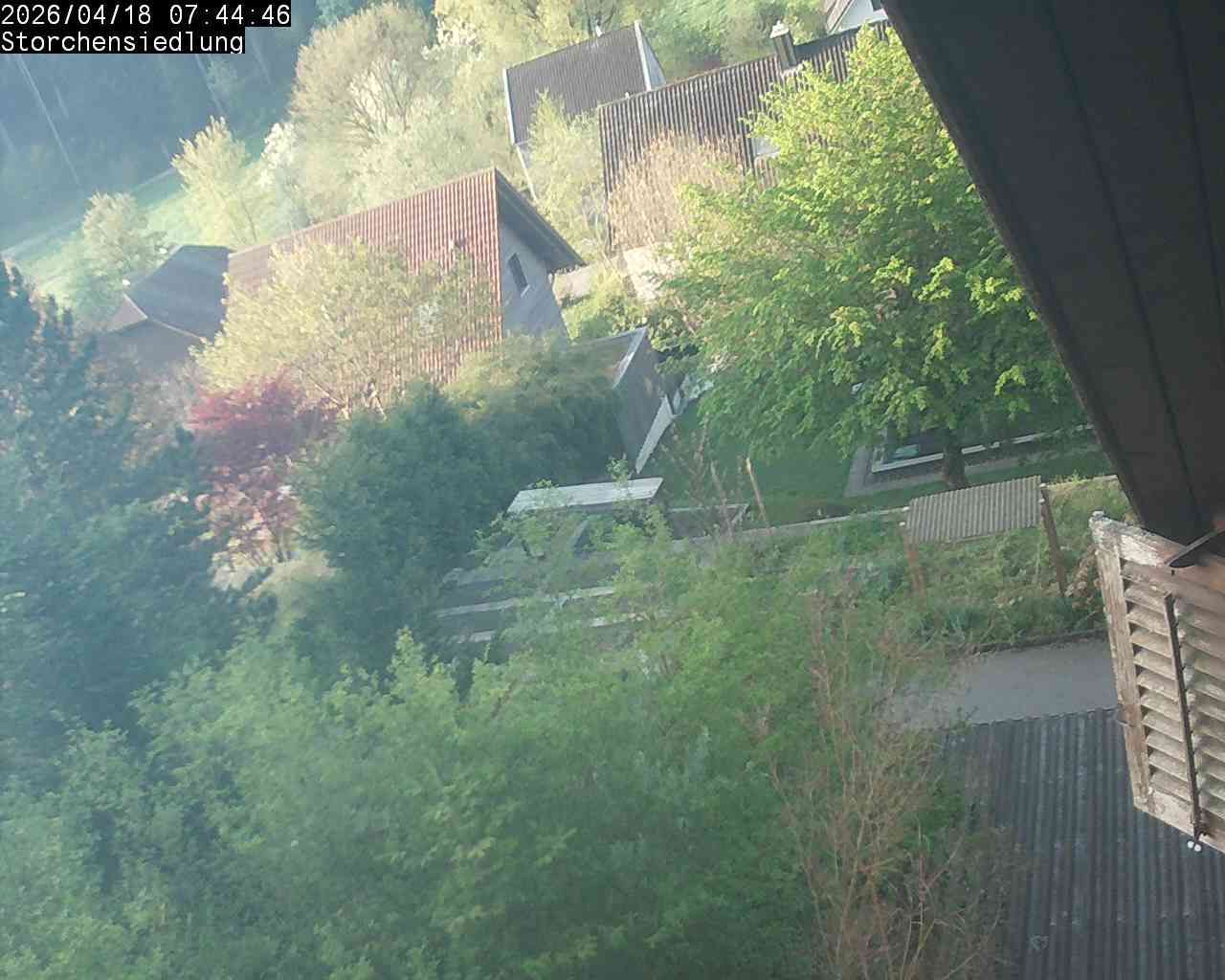 Brittnau: Storchensiedlung