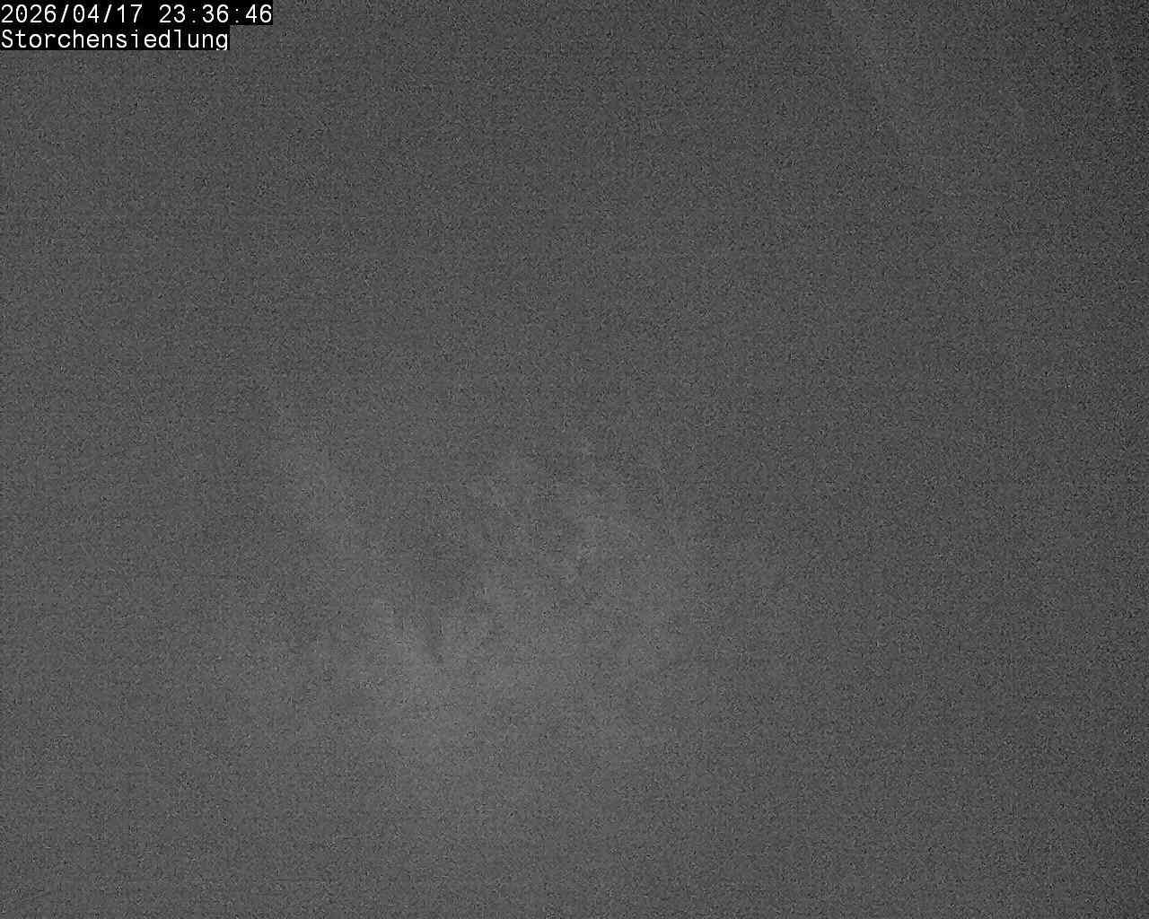 Brittnau: Storchensiedlung