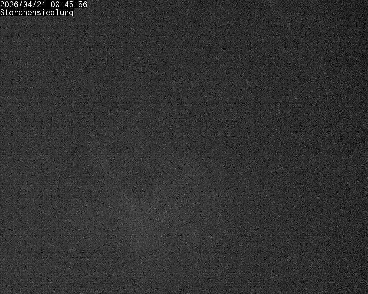 Brittnau: Storchensiedlung