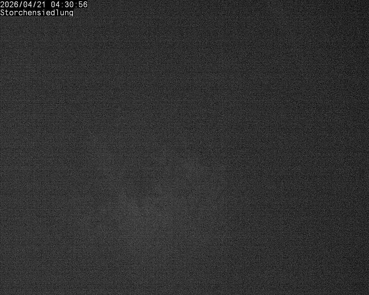 Brittnau: Storchensiedlung