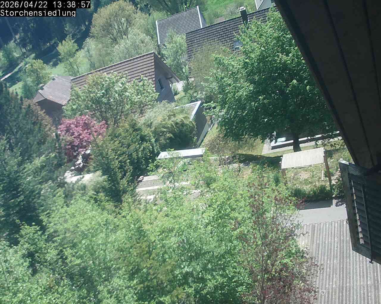Brittnau: Storchensiedlung