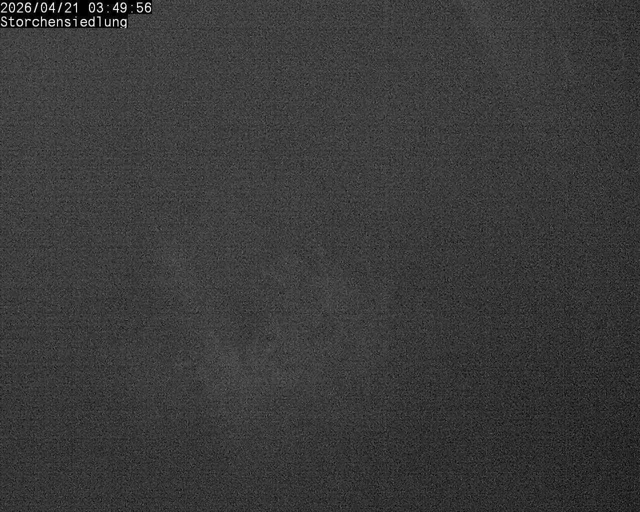 Brittnau: Storchensiedlung