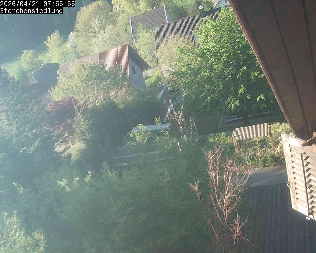 Brittnau: Storchensiedlung