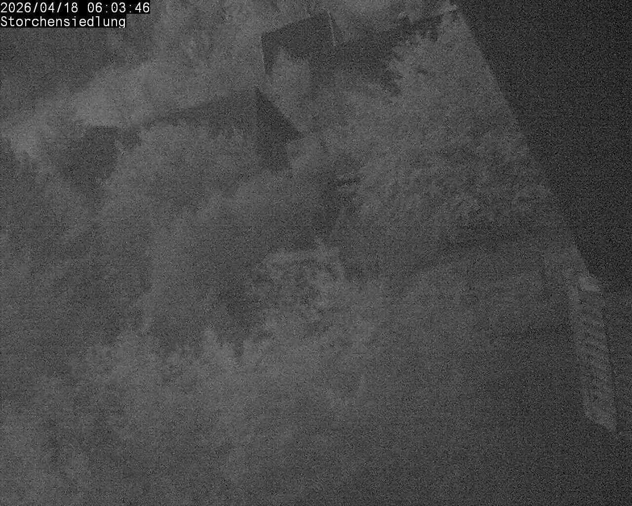 Brittnau: Storchensiedlung