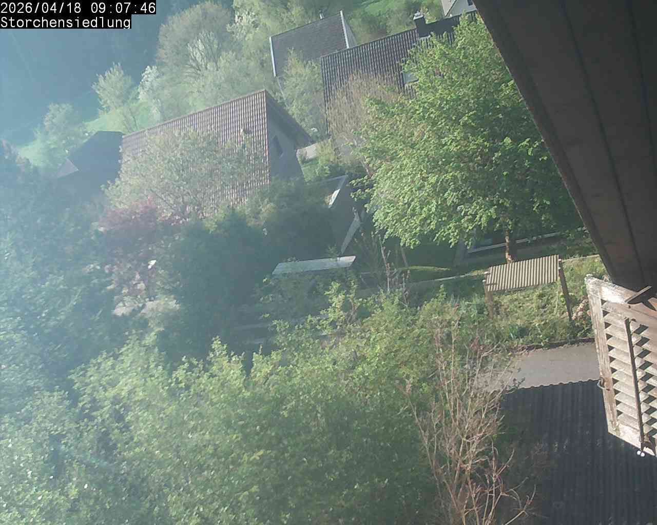 Brittnau: Storchensiedlung