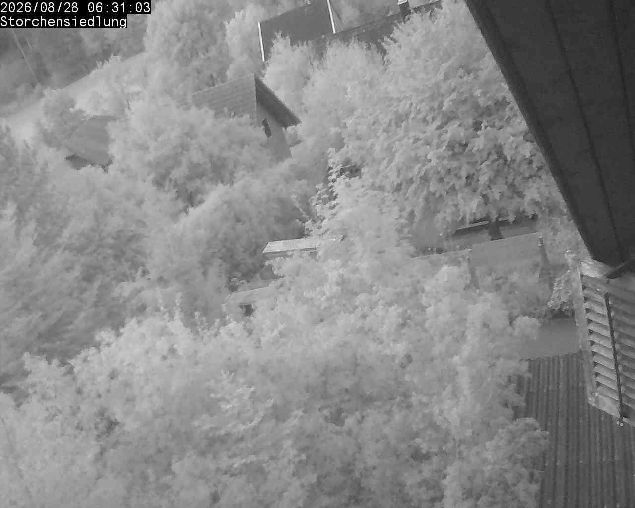 Brittnau › Südosten: Storchensiedlung