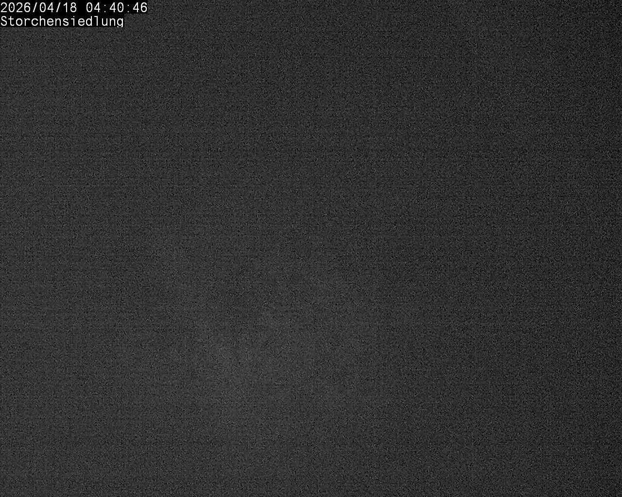 Brittnau: Storchensiedlung