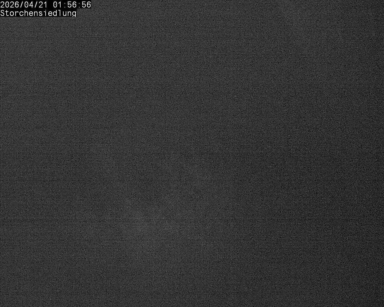 Brittnau: Storchensiedlung