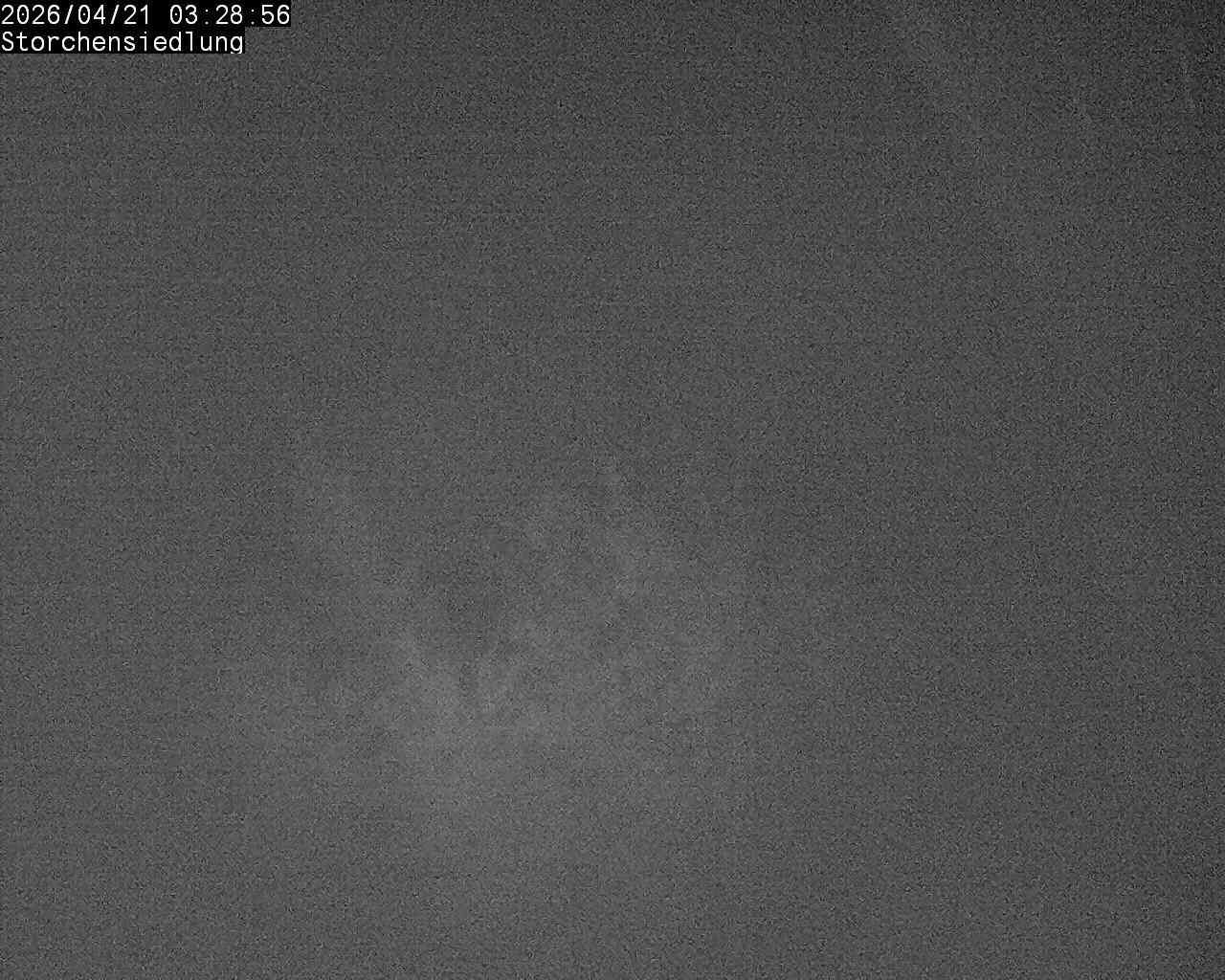 Brittnau: Storchensiedlung