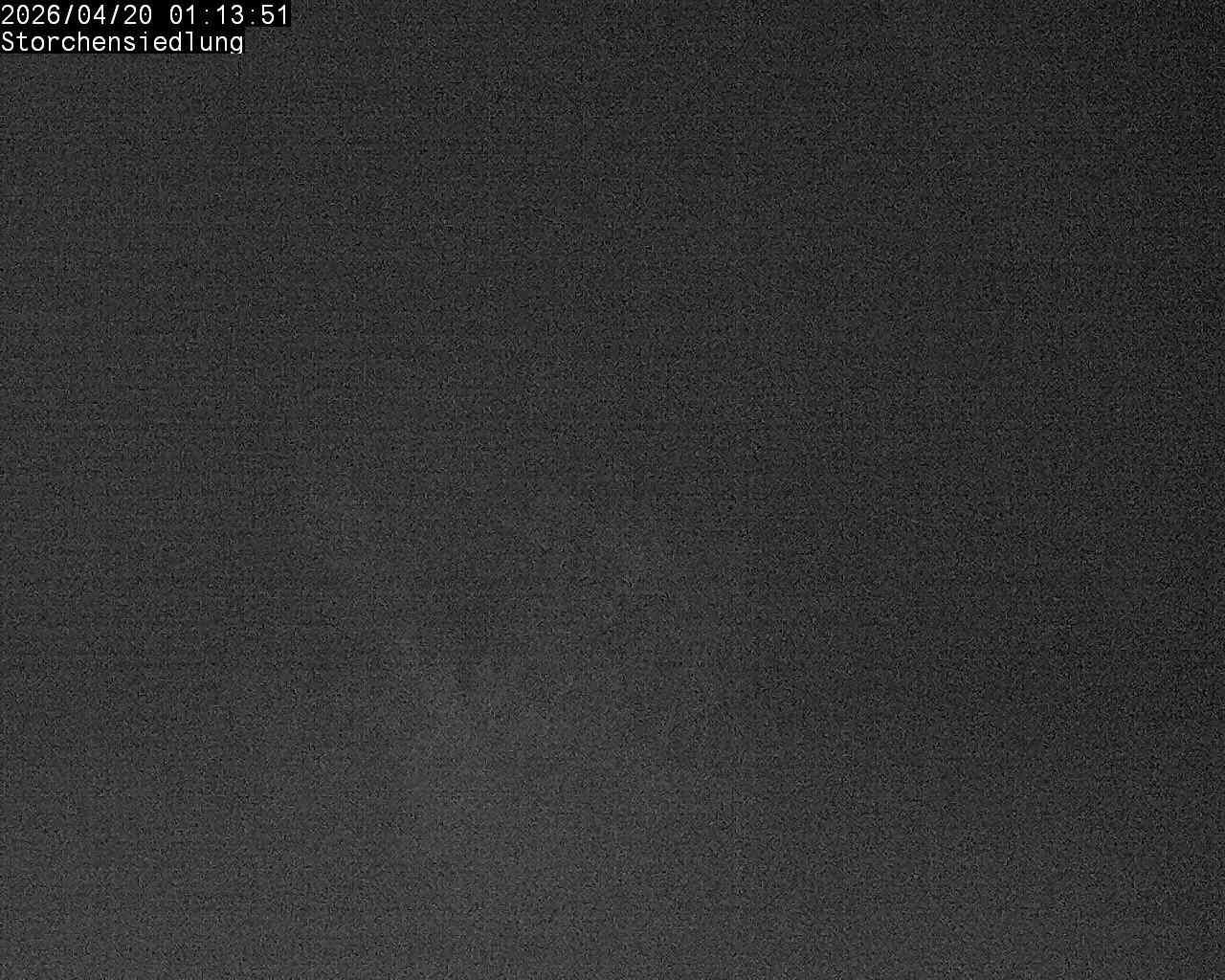 Brittnau: Storchensiedlung