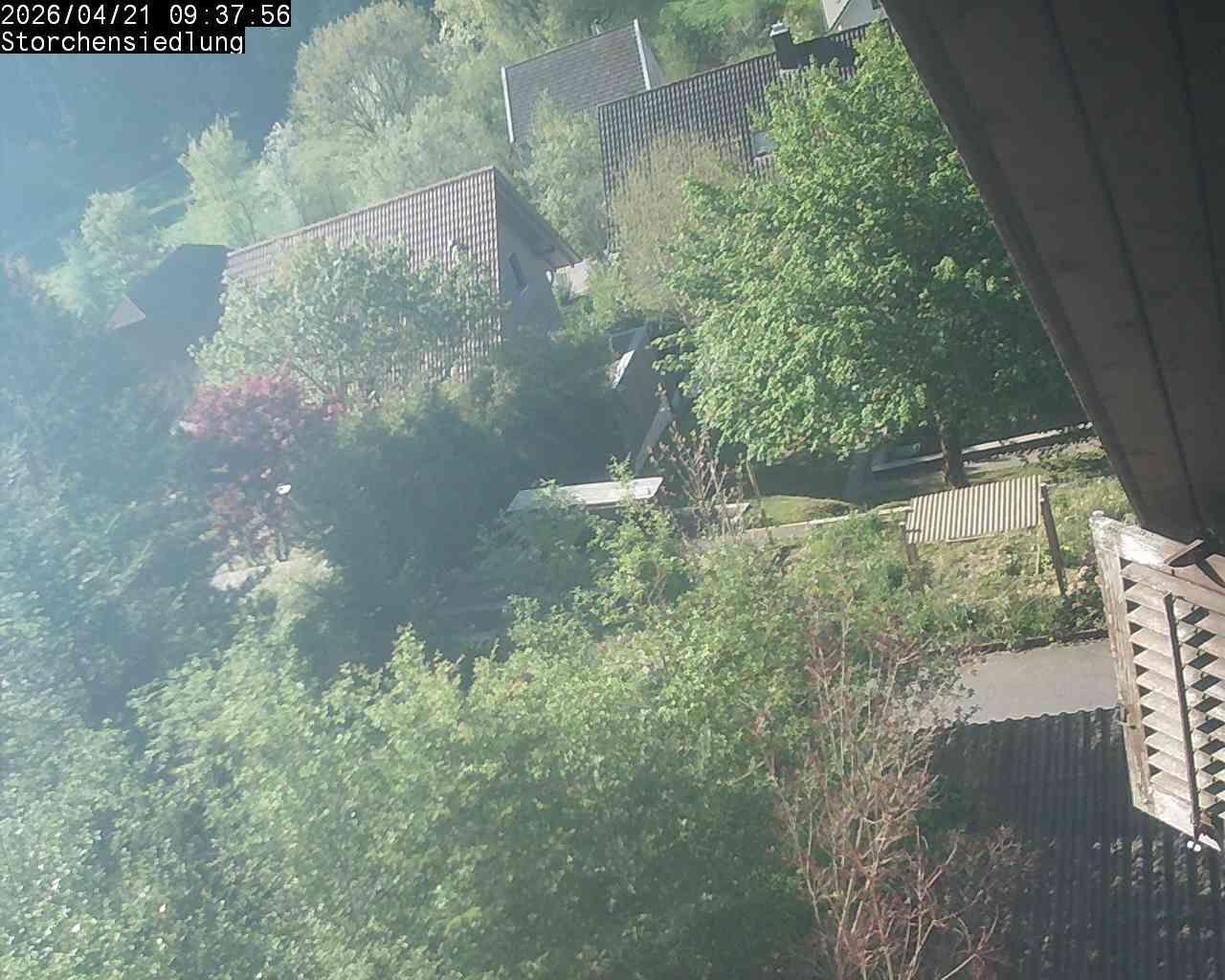 Brittnau: Storchensiedlung