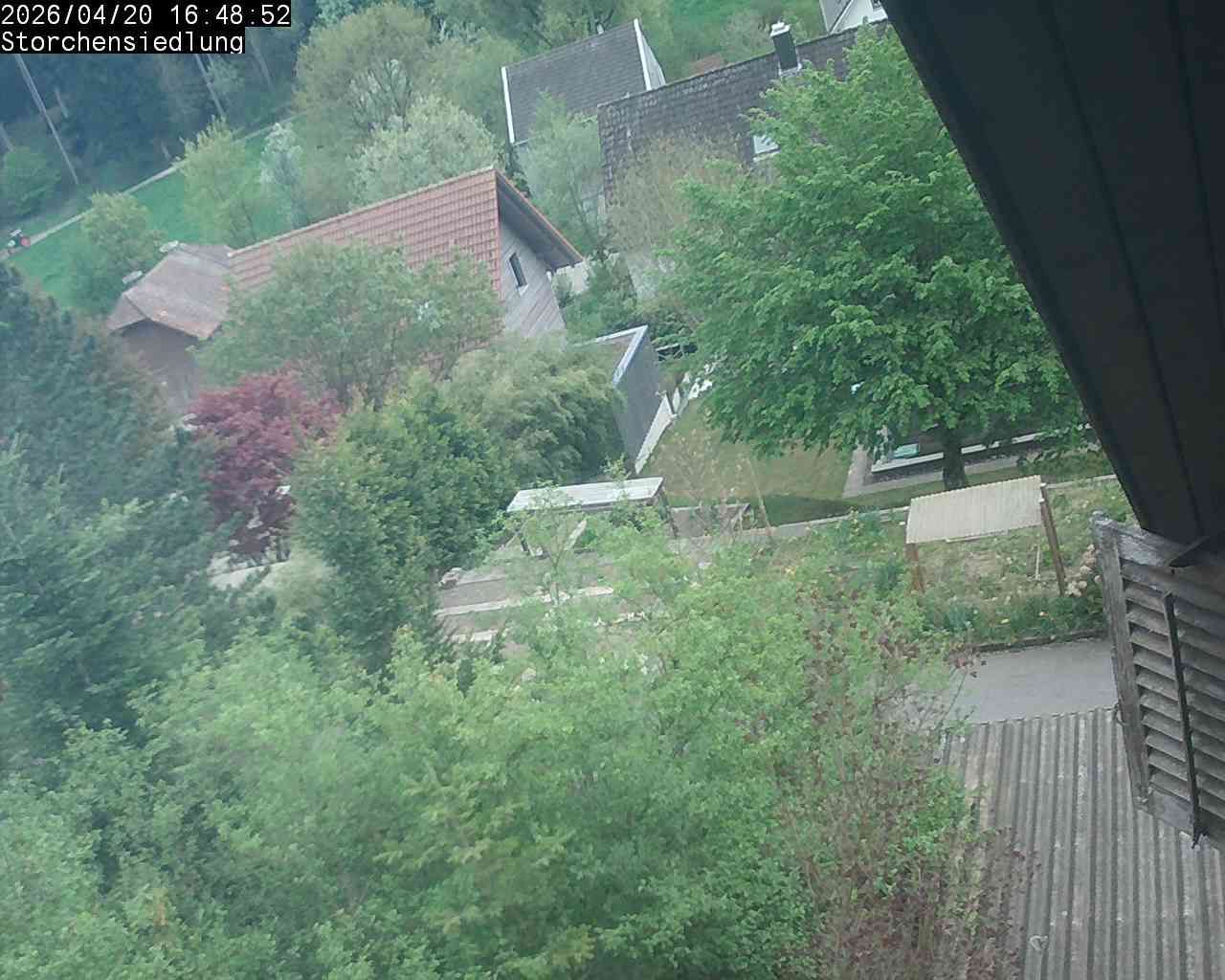 Brittnau: Storchensiedlung
