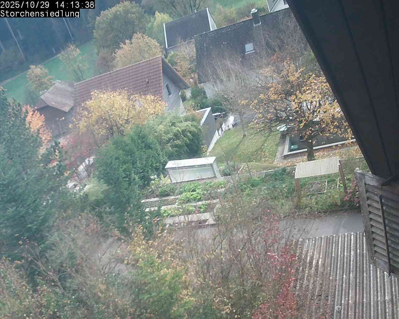 Brittnau: Storchensiedlung