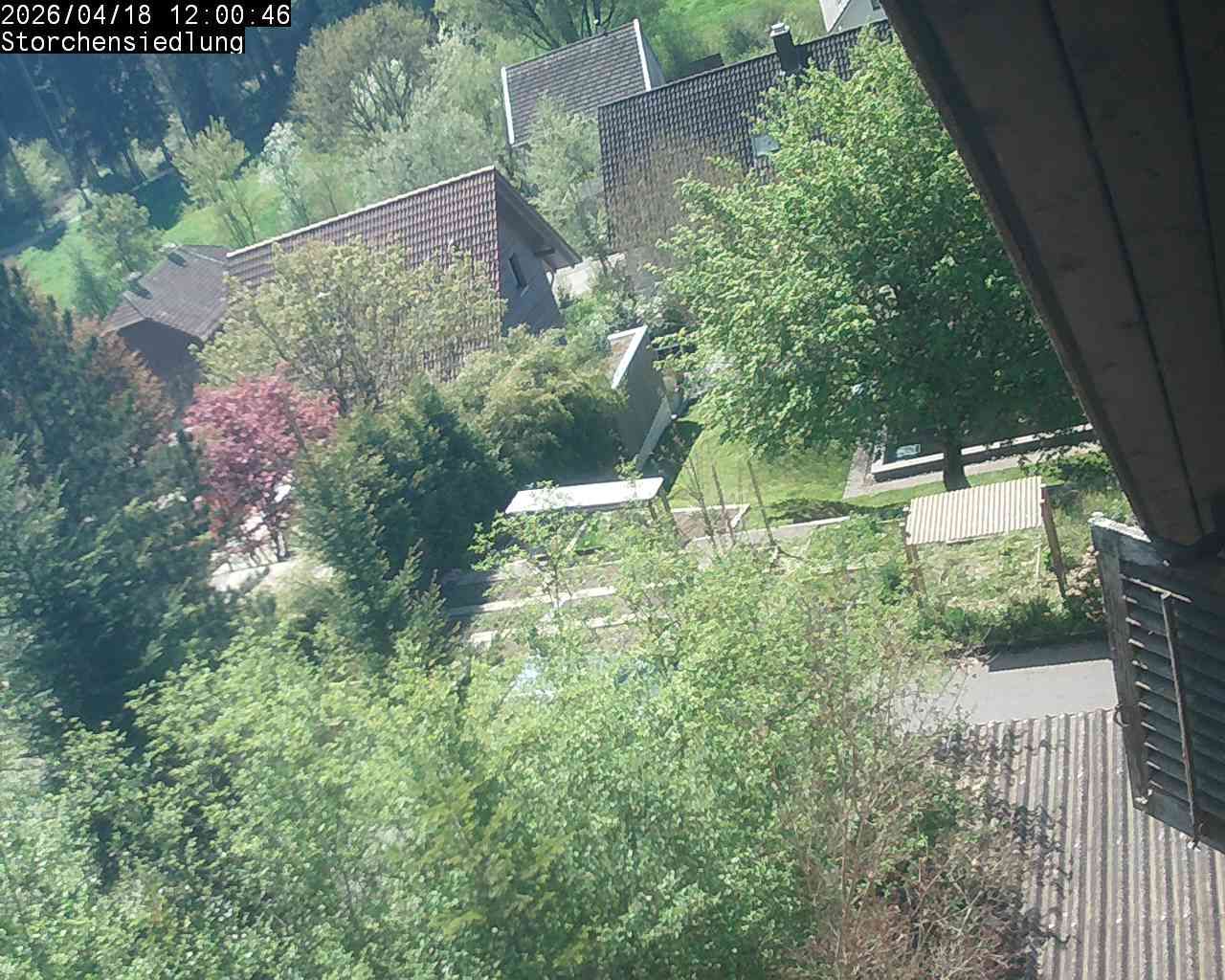 Brittnau: Storchensiedlung