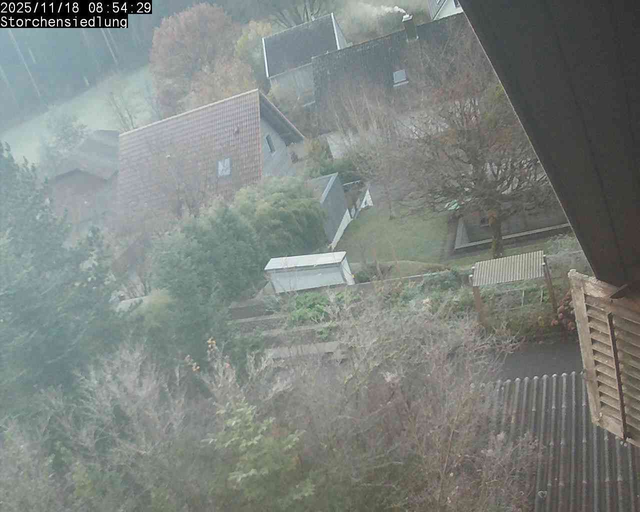 Brittnau: Storchensiedlung
