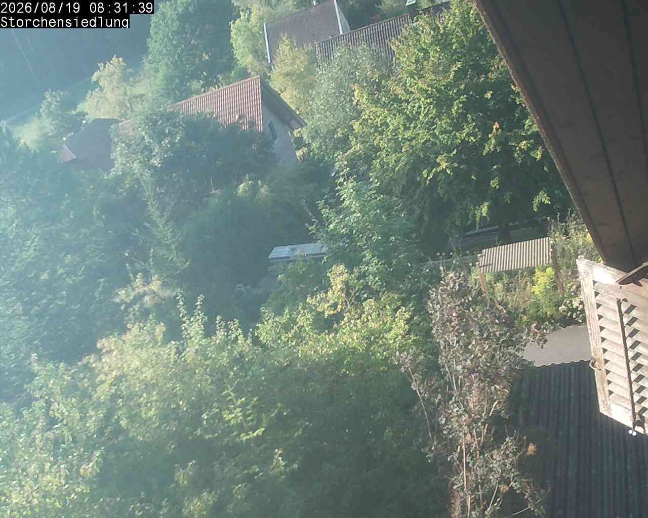 Brittnau › Südosten: Storchensiedlung