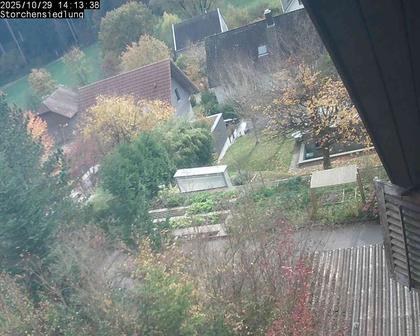 Brittnau: Storchensiedlung