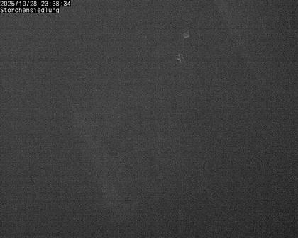 Brittnau: Storchensiedlung