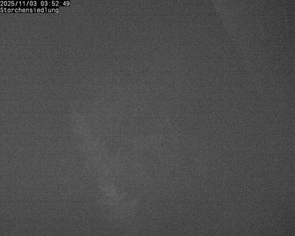 Brittnau: Storchensiedlung