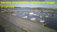 Dommesmoen: Grimstad Groos