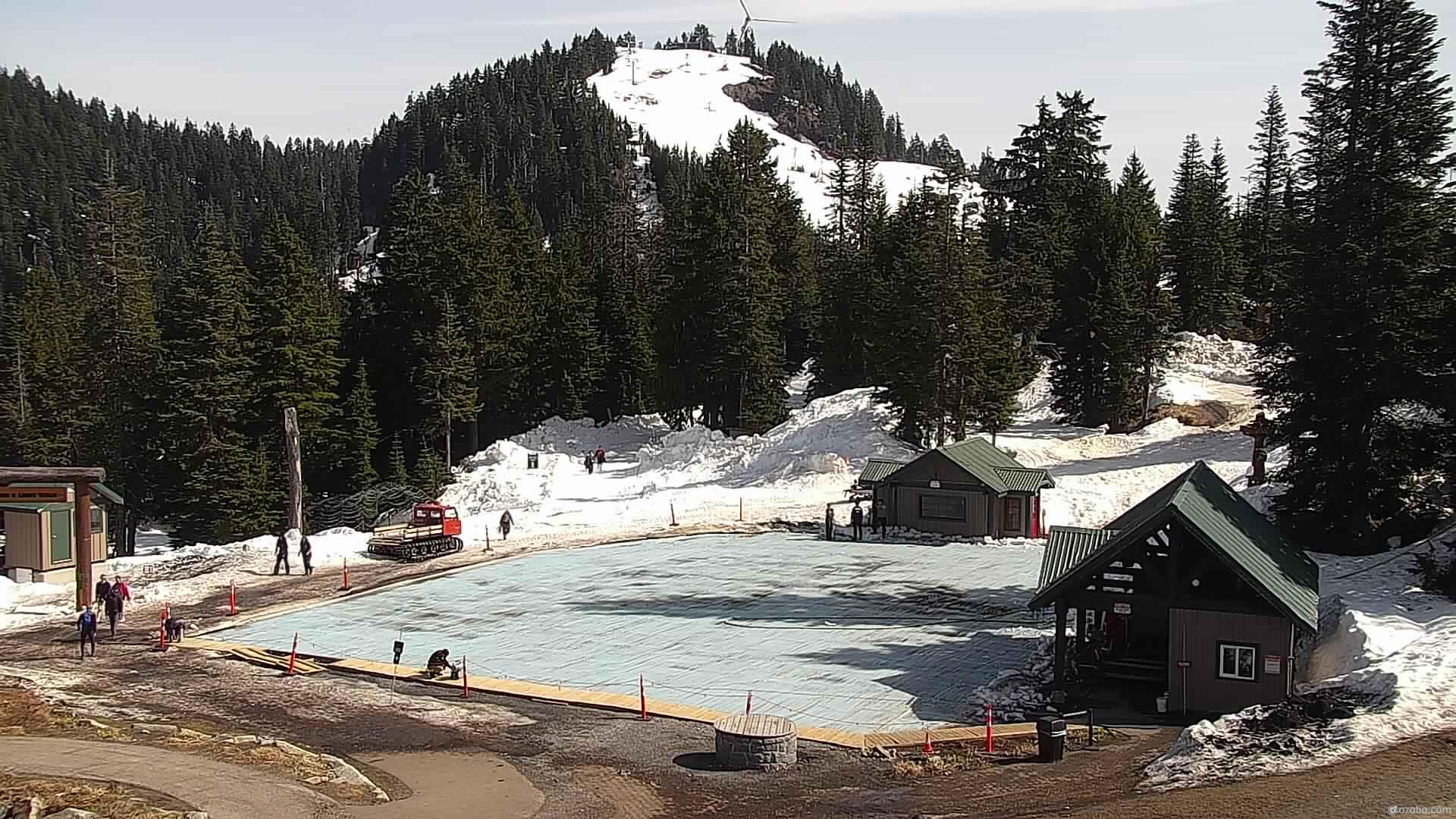 Grouse Mountain Chalet