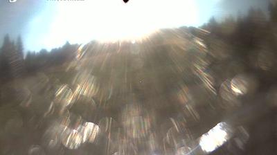 Webcams Around Muntele Mic Meteoblue