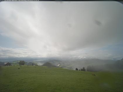 Wald › Süd-West: Scheidegg - Gleitschirm Startplatz Deltaclub Zürcher Oberland