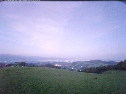 Wald › Süd-West: Scheidegg - Gleitschirm Startplatz Deltaclub Zürcher Oberland