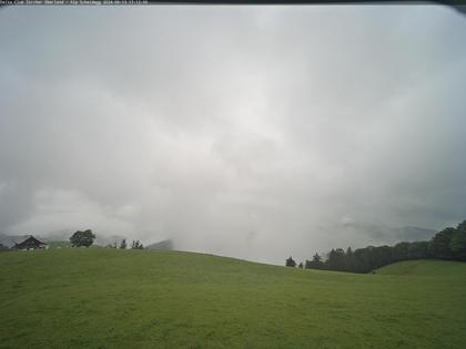 Wald › Süd-West: Scheidegg - Gleitschirm Startplatz Deltaclub Zürcher Oberland