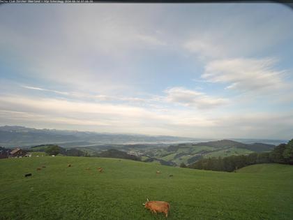 Wald › Süd-West: Scheidegg - Gleitschirm Startplatz Deltaclub Zürcher Oberland