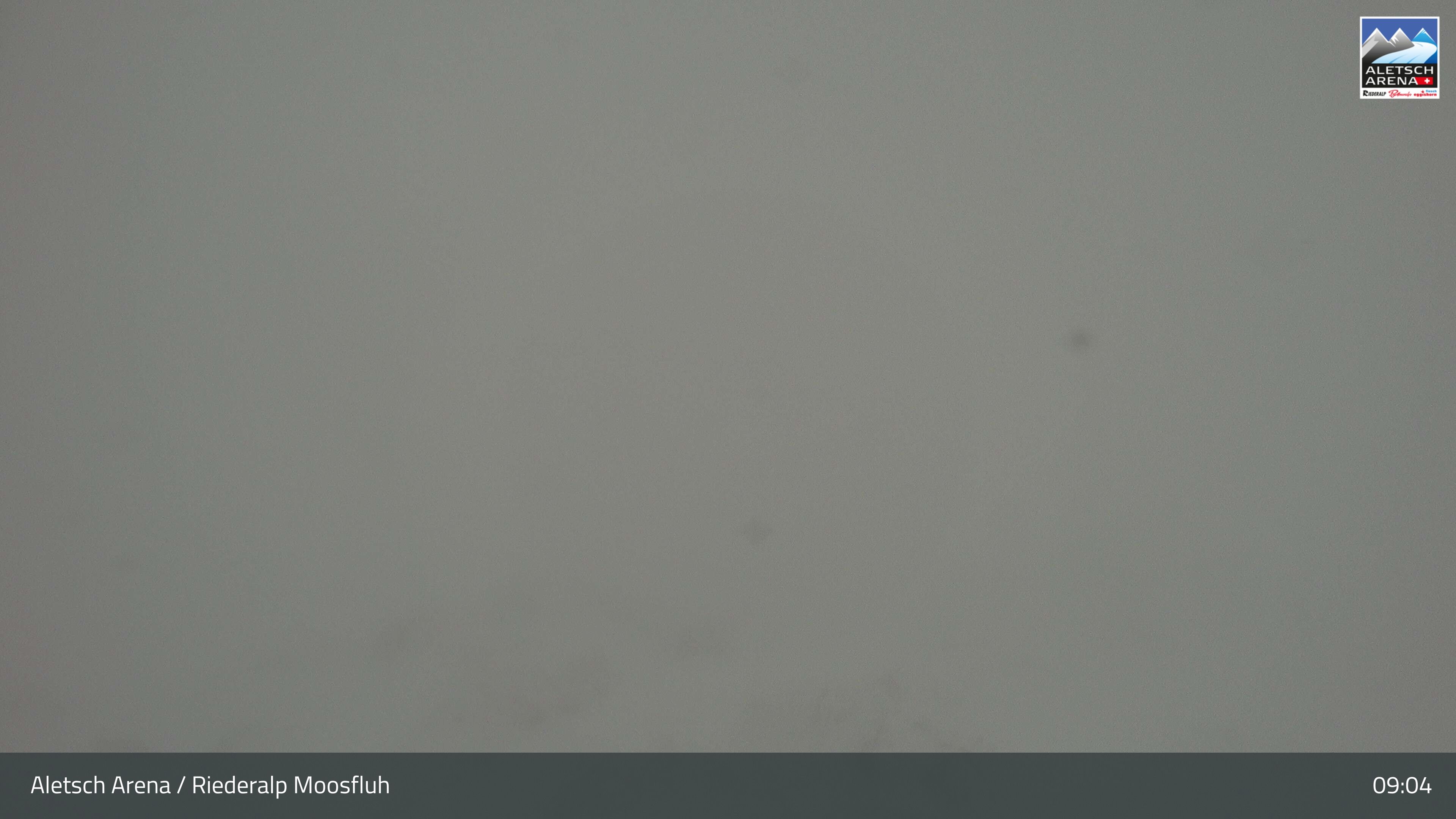 Riederalp: Aletsch Arena - Moosfluh Bergstation