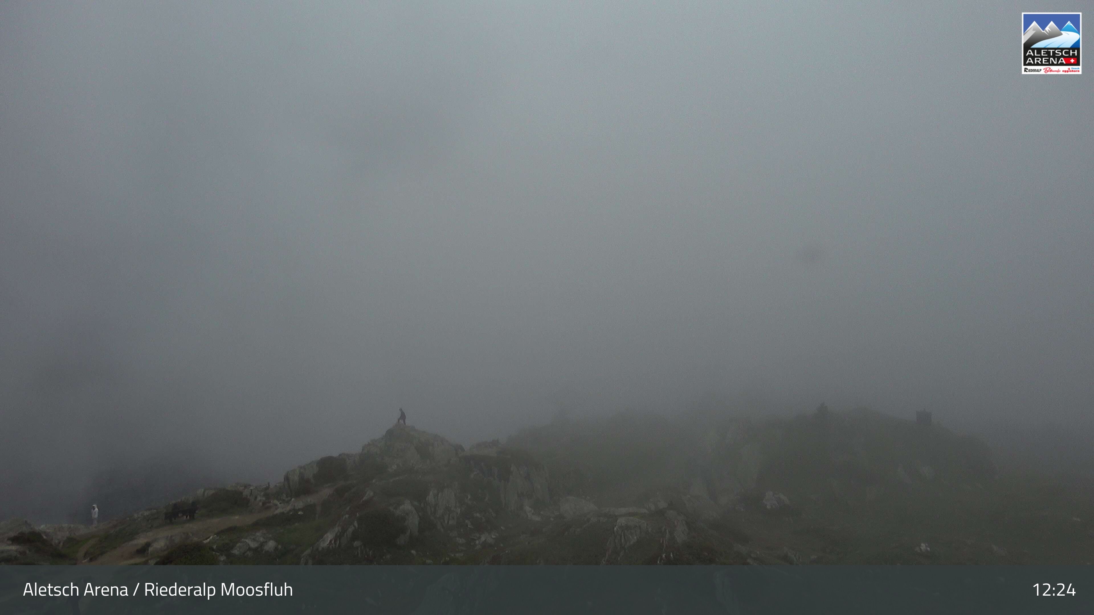 Riederalp: Aletsch Arena - Moosfluh Bergstation
