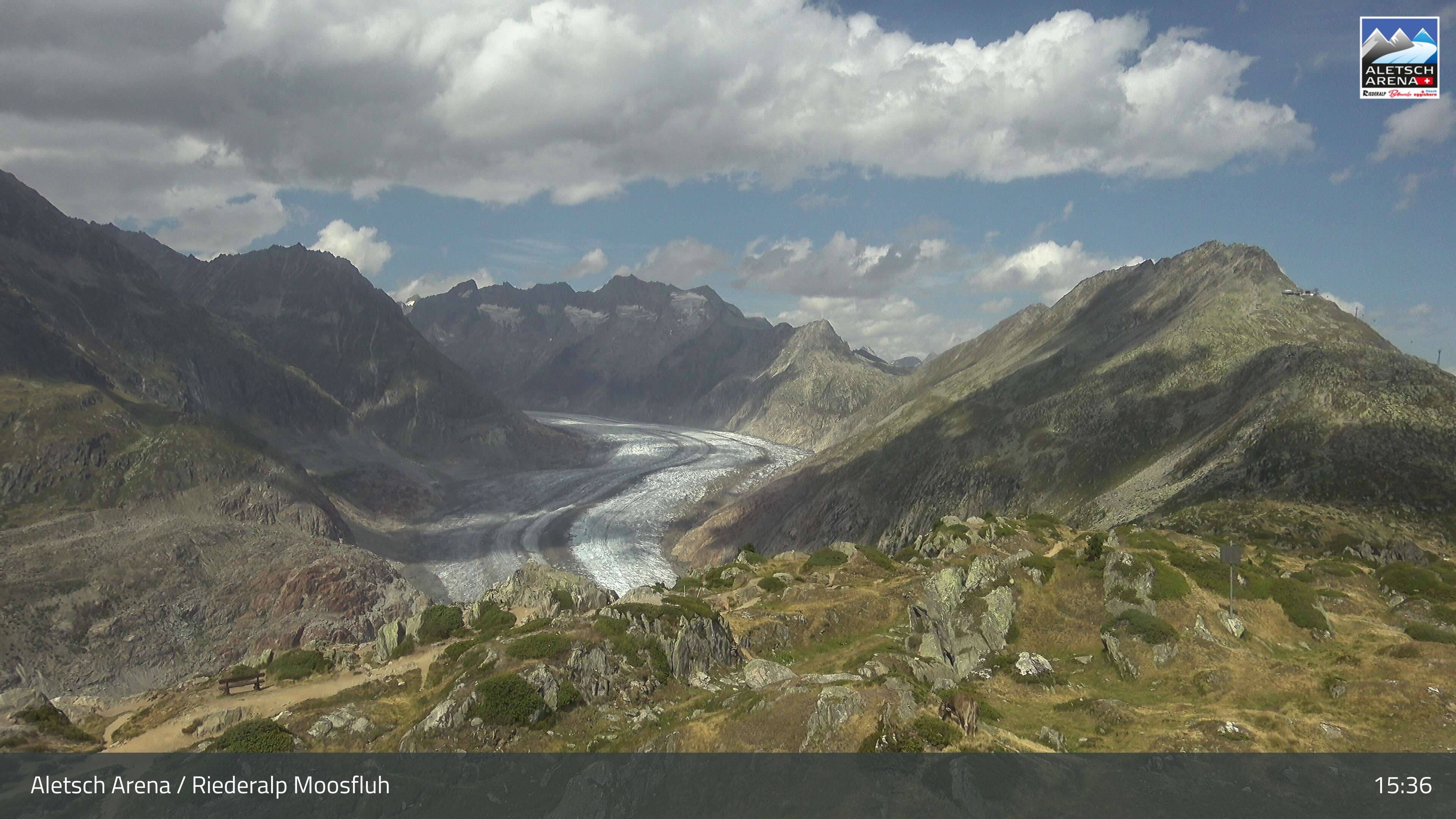 Riederalp: Aletsch Arena - Moosfluh Bergstation
