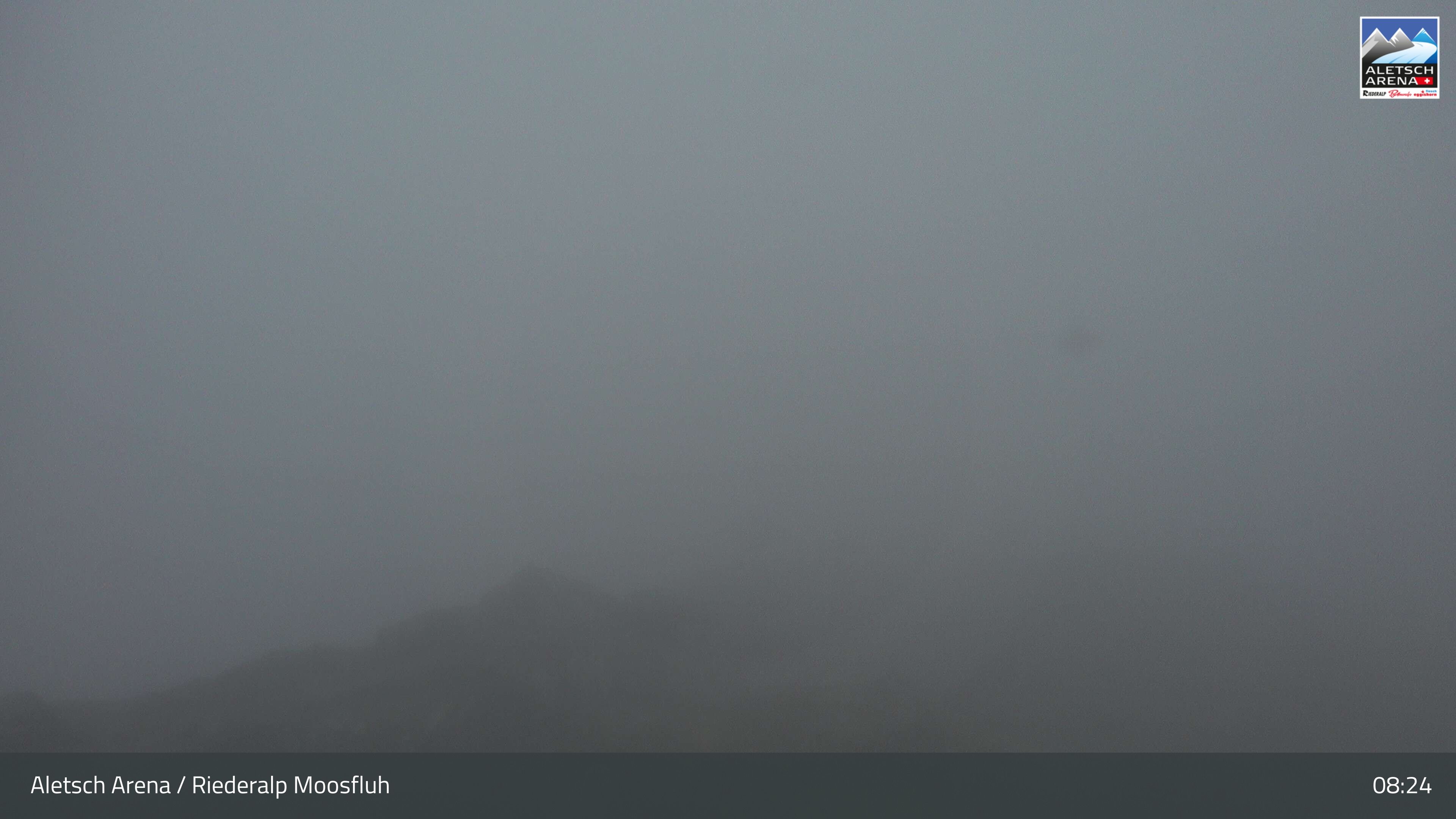 Riederalp: Aletsch Arena - Moosfluh Bergstation