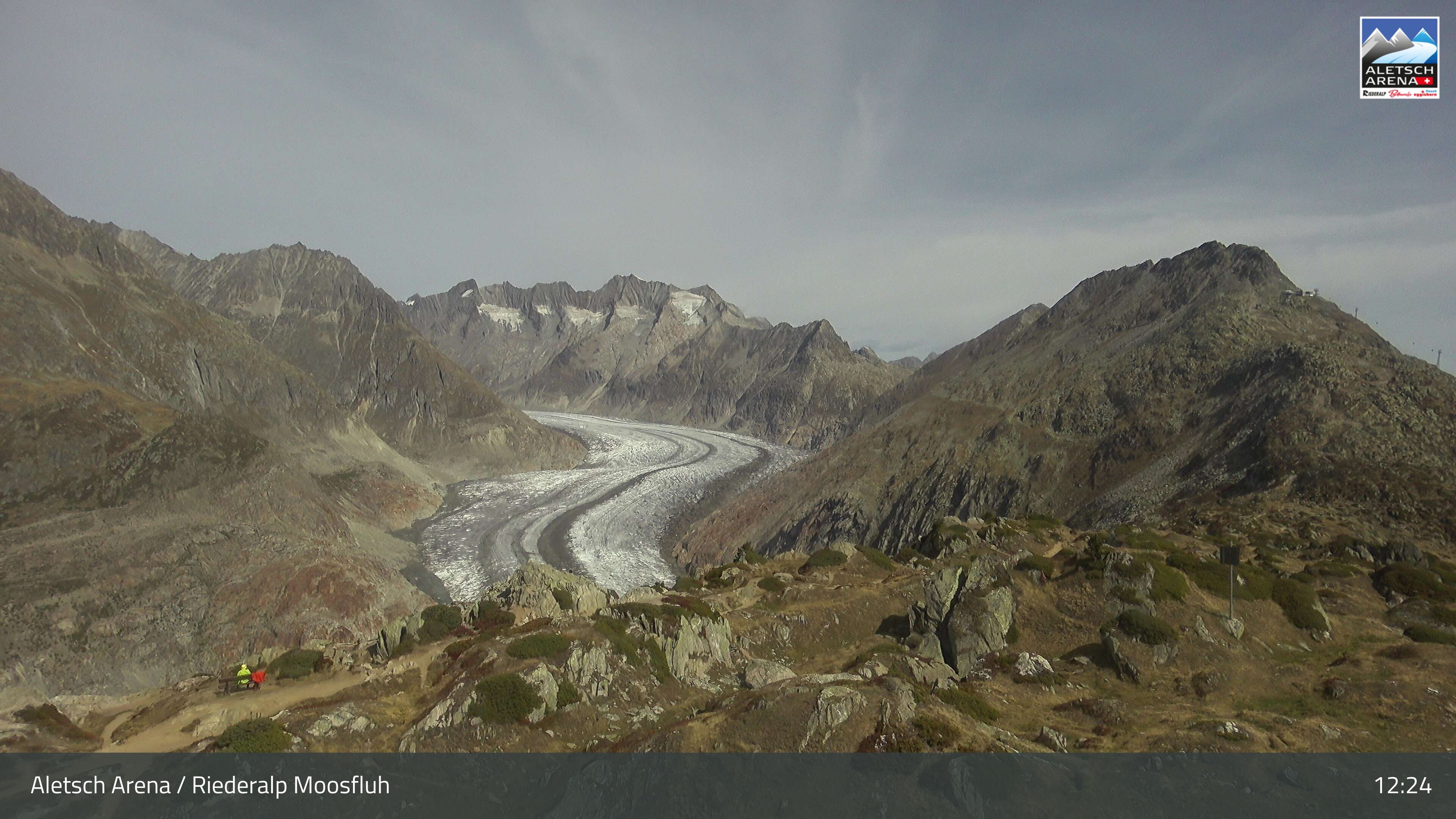 Riederalp: Aletsch Arena - Moosfluh Bergstation