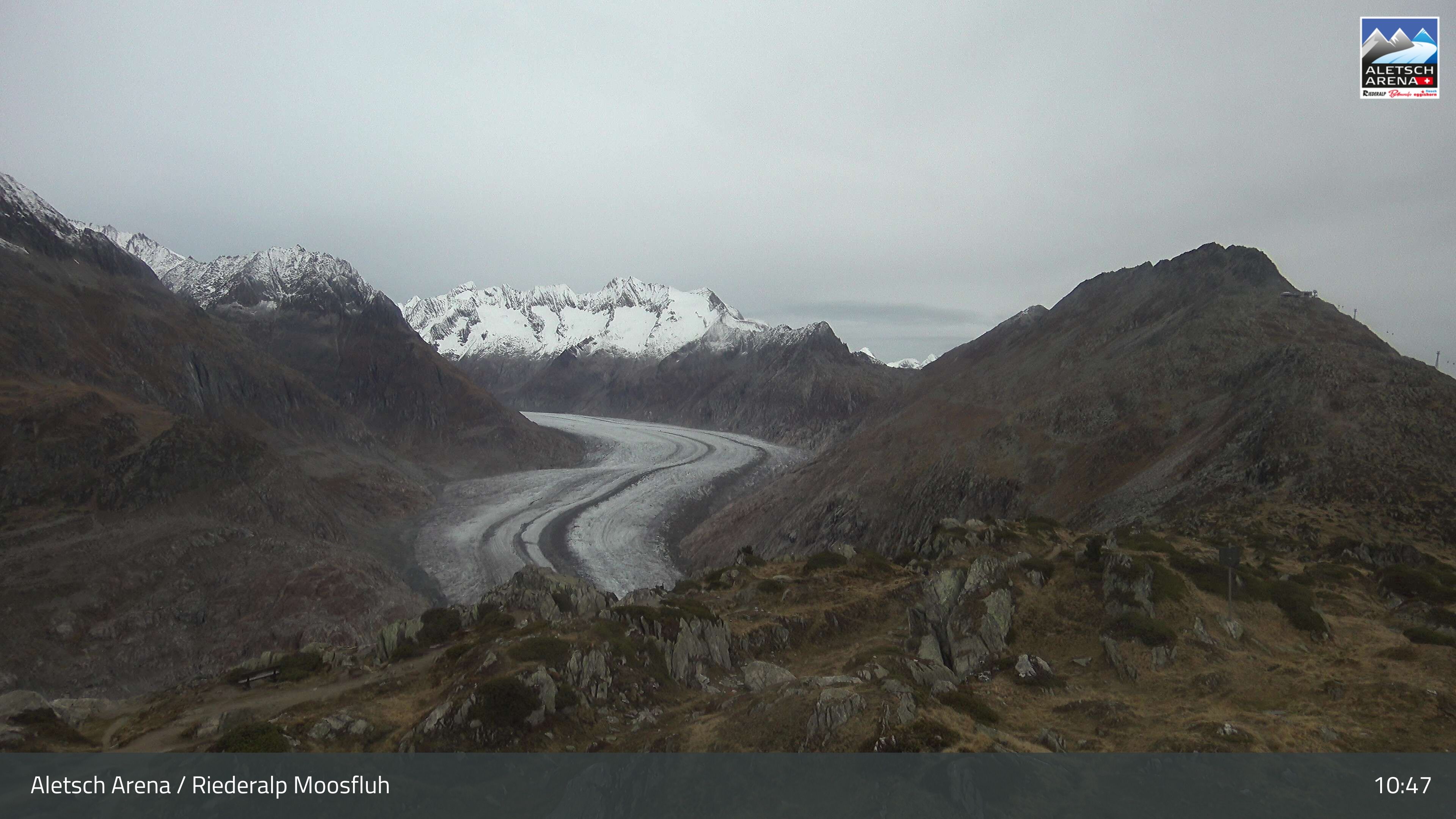 Riederalp: Aletsch Arena - Moosfluh Bergstation