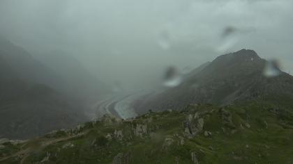 Riederalp: Aletsch Arena - Moosfluh Bergstation