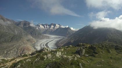 Riederalp: Aletsch Arena - Moosfluh Bergstation