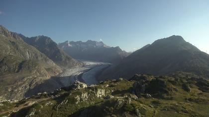 Riederalp: Aletsch Arena - Moosfluh Bergstation