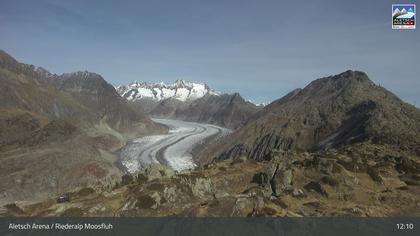 Riederalp: Aletsch Arena - Moosfluh Bergstation