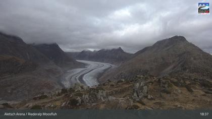 Riederalp: Aletsch Arena - Moosfluh Bergstation