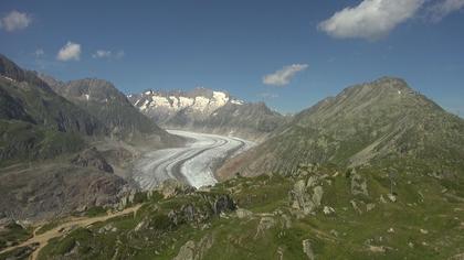 Riederalp: Aletsch Arena - Moosfluh Bergstation