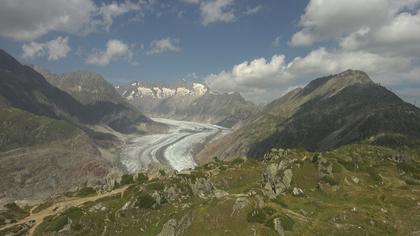 Riederalp: Aletsch Arena - Moosfluh Bergstation