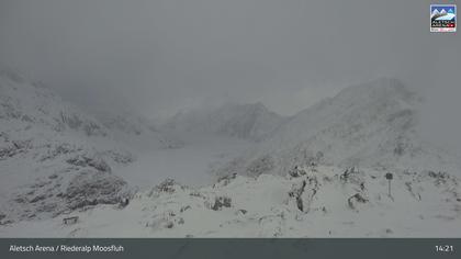 Riederalp: Aletsch Arena - Moosfluh Bergstation