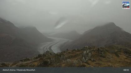 Riederalp: Aletsch Arena - Moosfluh Bergstation